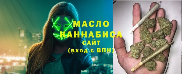 индика Дмитров