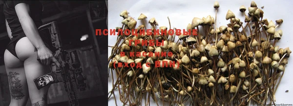 крисы Михайловка