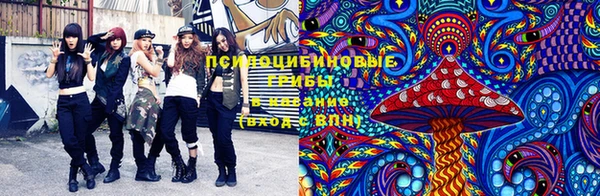 кокаин колумбия Михайлов